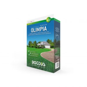 Zollaverde Olimpia