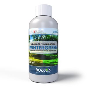 Zollaverde Wintergreen