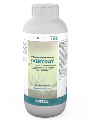 Master Green Everyday