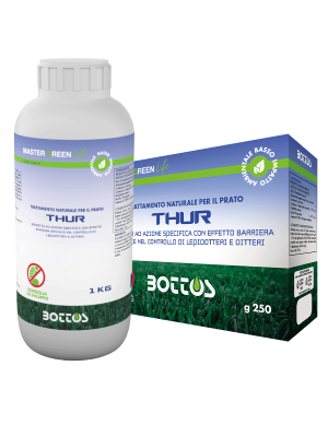 Master Green Life Thur